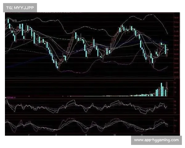 沙特报价特征分析:倾向一次性支付所有费用的策略 沙特报价特征分析:倾向一次性支付所有费用的策略